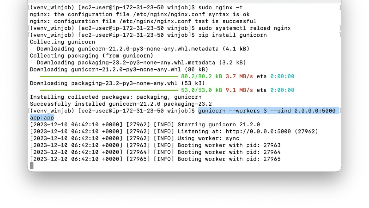 Python应用打包与部署实战指南:从基础配置到完整案例