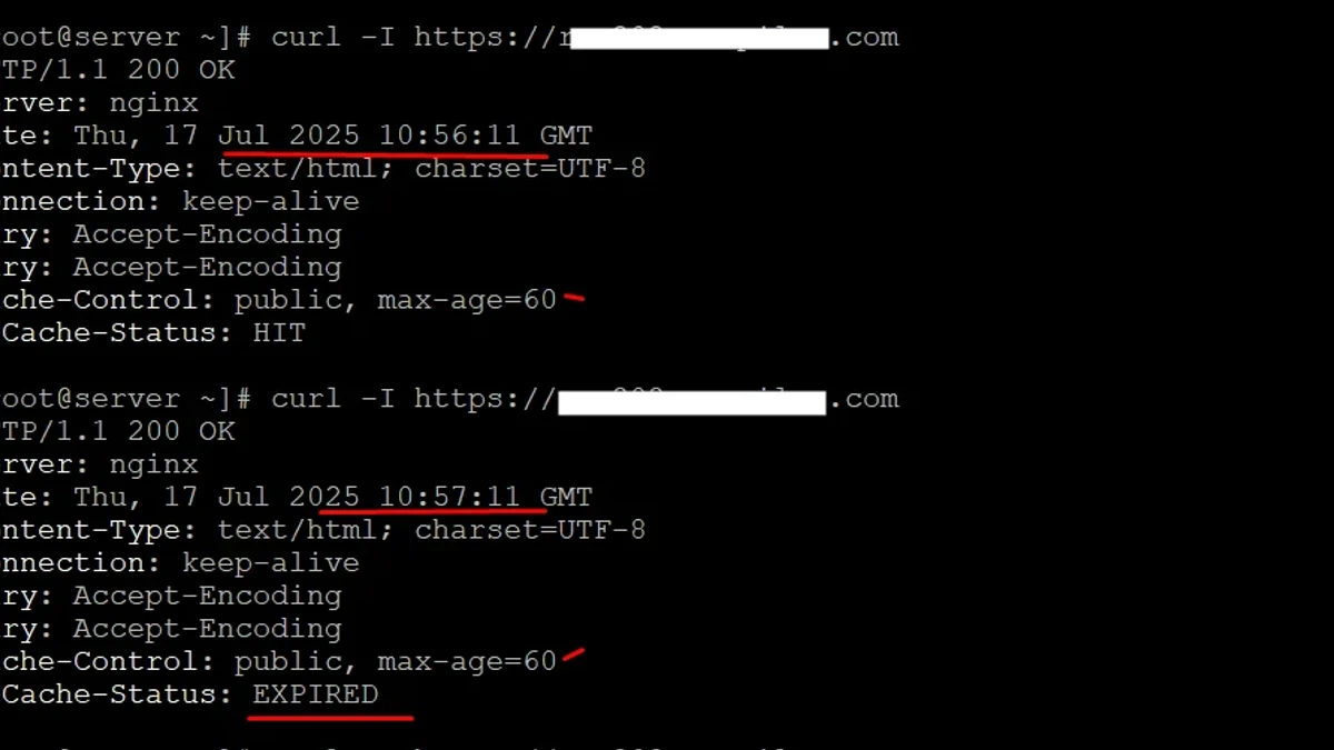 Nginx缓存:proxy_cache与purge清理