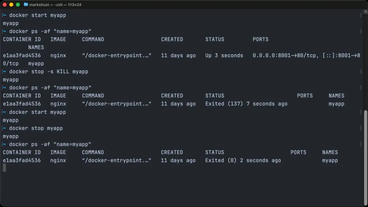Docker checkpoint:容器快照与恢复